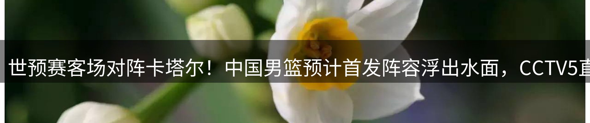 内页banner