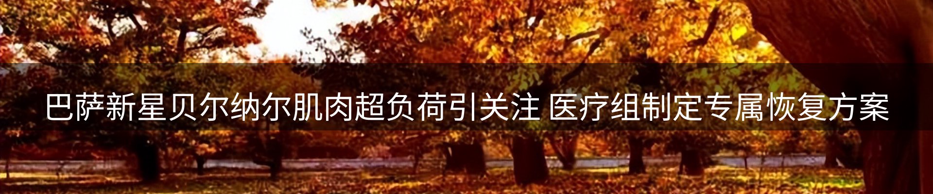 内页banner