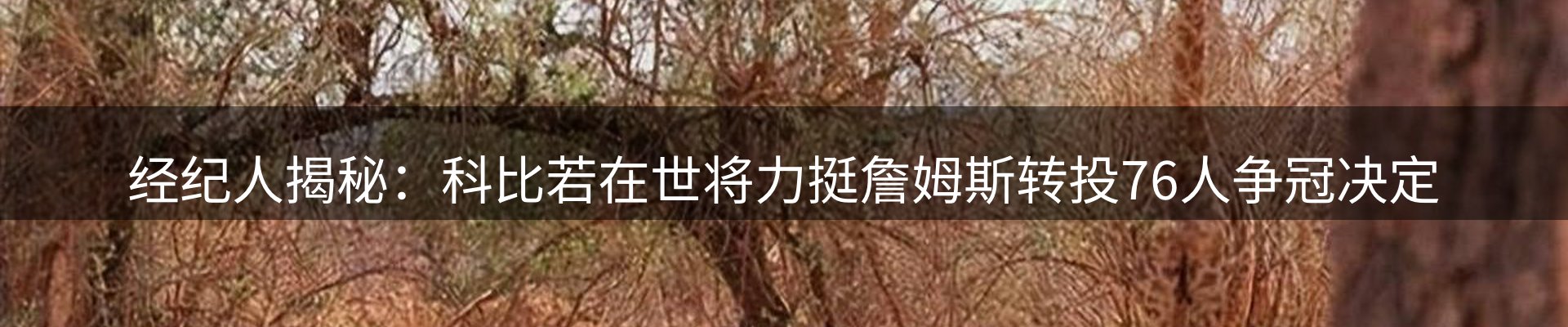 内页banner